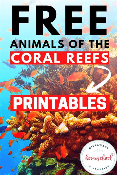 Coral Reef Printables